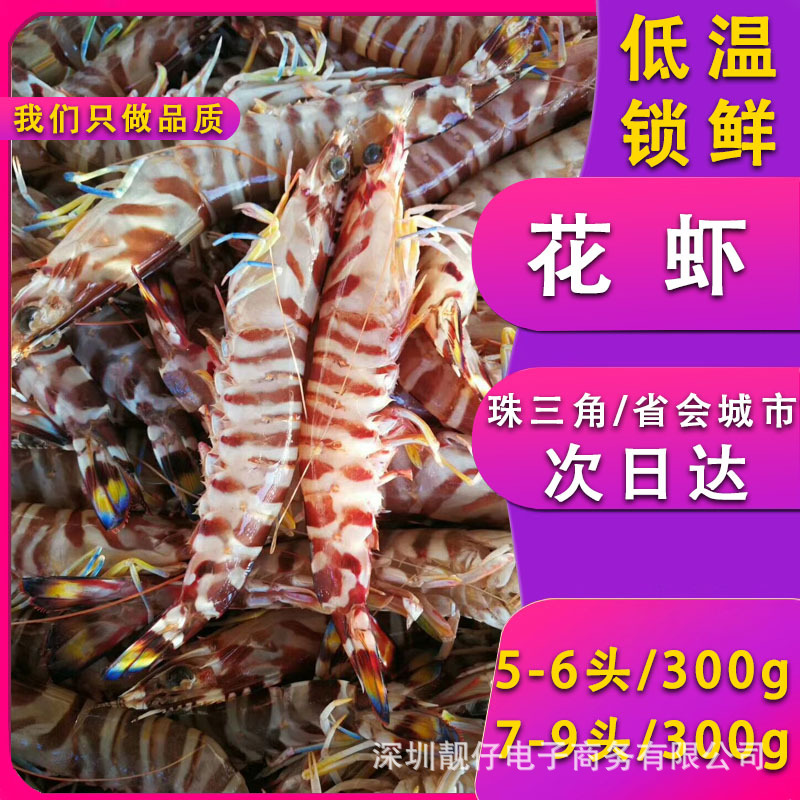 新鲜冷冻花虾海虾大虾竹节虾九节虾对虾海鲜水产虾类供应