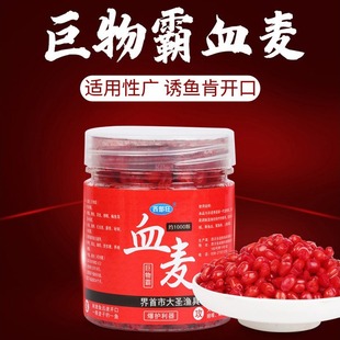 Ѫ�����~�D�ڿ�Ұ��D���a�~���~�������Сșͨ����~�����~�D��