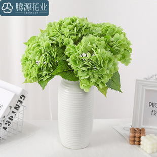 ���滨3D�����ָб���196Ƭ�Wʽ�Ҿӿ͏d�b�c�[���廨�ٻ�