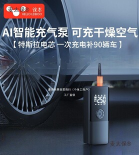 Leben Car Wireless Air Pump Portable Car Electric Pump Car Tire Car Metabo