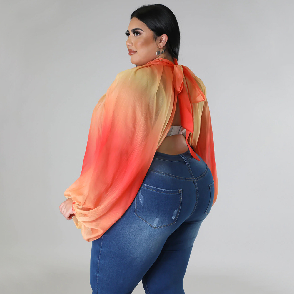 252g Weight Long Sleeve Sleeve Length Regular Sleeve Sleeve Type Spandex, Polyester, Chiffon Fabric Type Long Top Length Blouse Tops Type Daily, Street Occasion Round Neck Neckline Regular Fit Fit Type Color Block Pattern Spring&Summer Season Streetwear Style Blouse Long Sleeve Plus Size Tops Streetwear Color Block 39