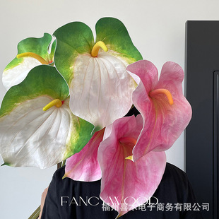 ��Ʒ�|���氲�滨�t�� 3dEVA���| �zӰ���߬F����ˇ�OӋ ܛ�b���