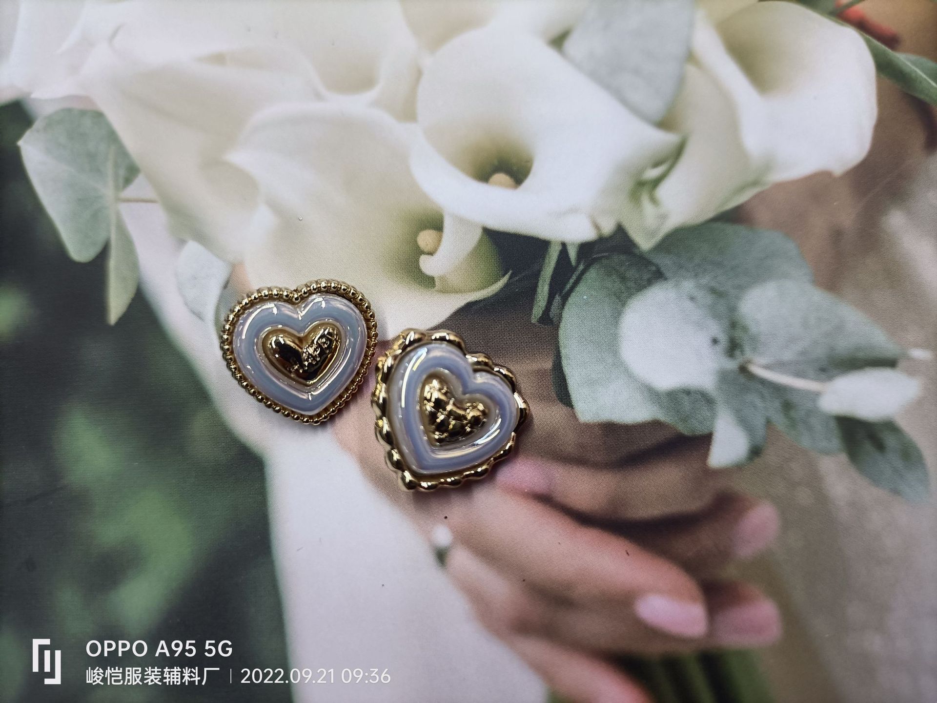 a0b36d38a48f88295485693b619e7f