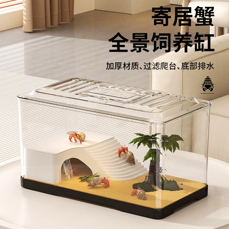 Крабовый бак-отшельник