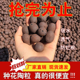 Sweibo Ceramsite Pad Special Flower Pot Paving Clay Planting Soil Orchid Fleshy Nutrient Soil Hydroponics