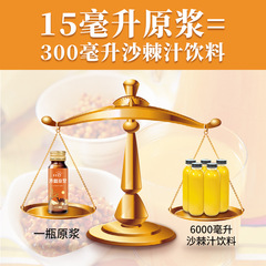 沙棘原漿枸杞原漿飲品沙棘汁沙棘原液500ml禮盒裝廠家批發招代發