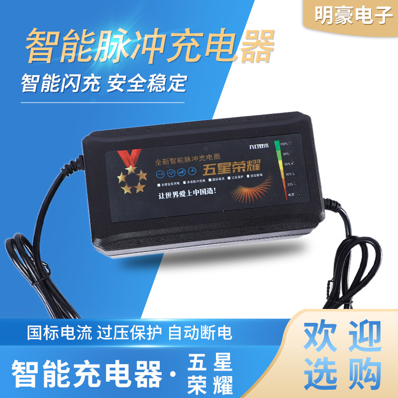 铅酸电池充电器五星荣耀 六灯显示电量 电瓶车24v48v60v72v充电器|undefined