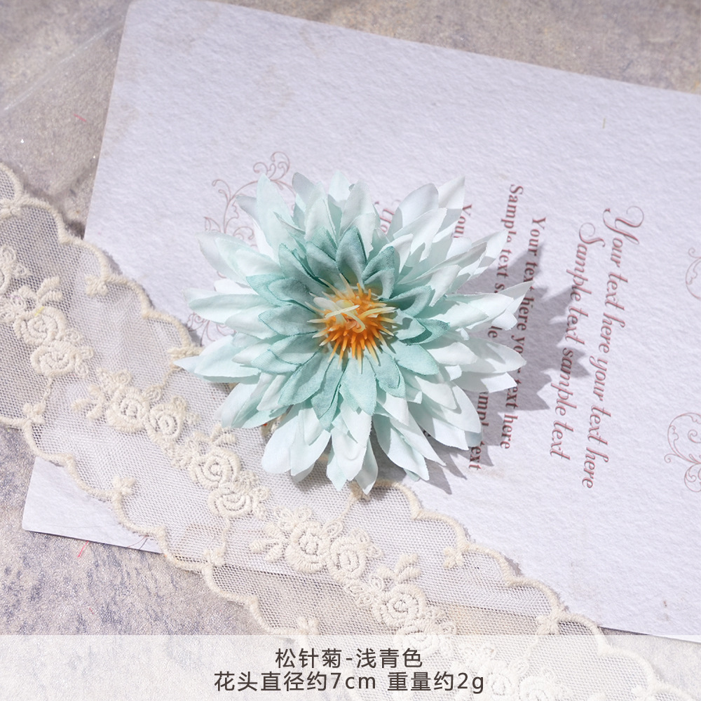 XH2-솔잎국화-라이트시안