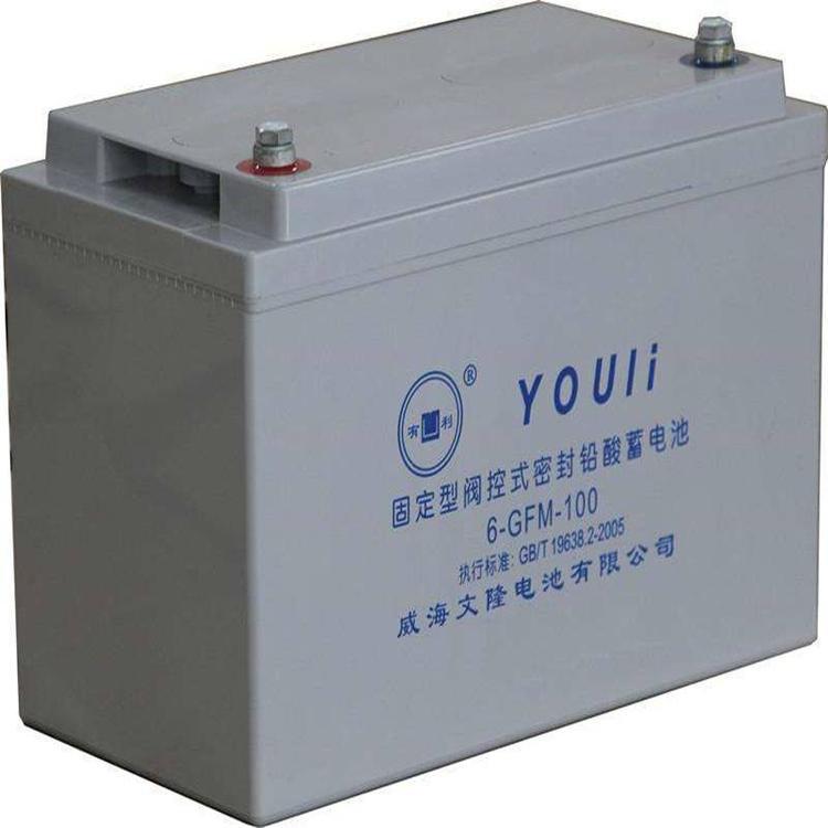 有利YOULI蓄电池6-GFM-100 12V100AH机房配电室 UPS蓄电池EPS电池