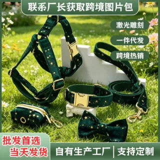 好宠儿ins绿星 蓝星布绒宠物狗狗户外套装源头工厂跨境 一件代发