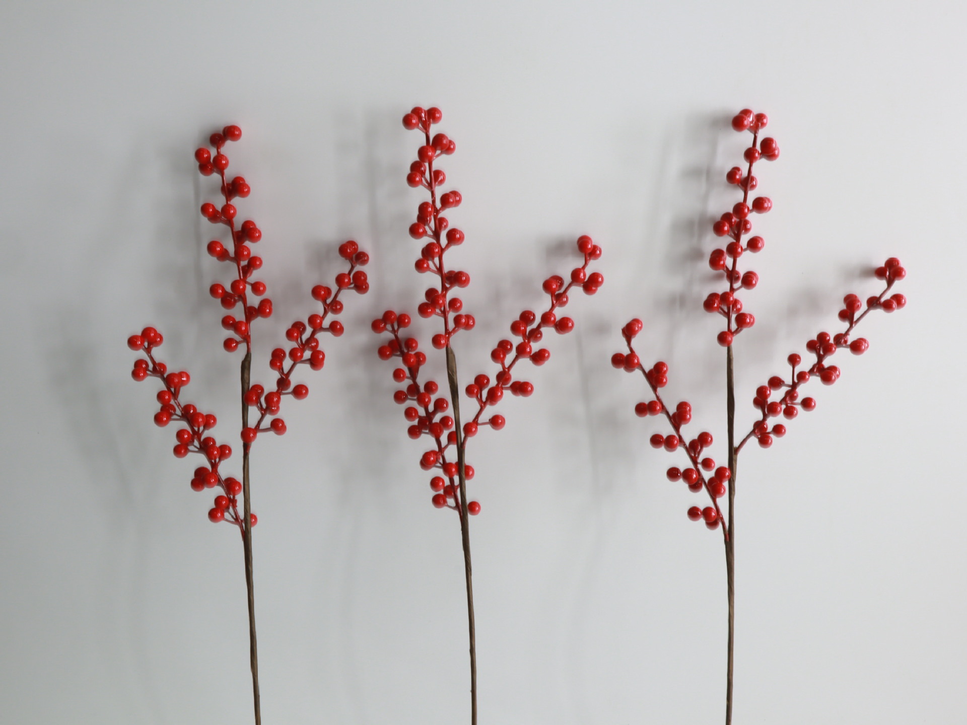 小红果三叉枝 (3).JPG