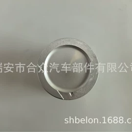 活塞/活塞环