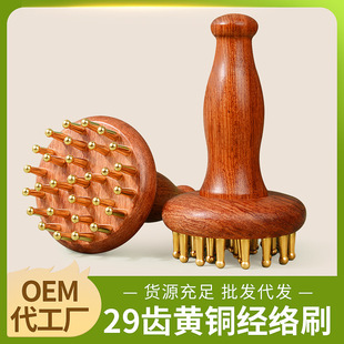 ��������ľ��29�X�S�~���jˢ ���}��ͨ��đ��Ħˢ�ู���ӽ��jˢ