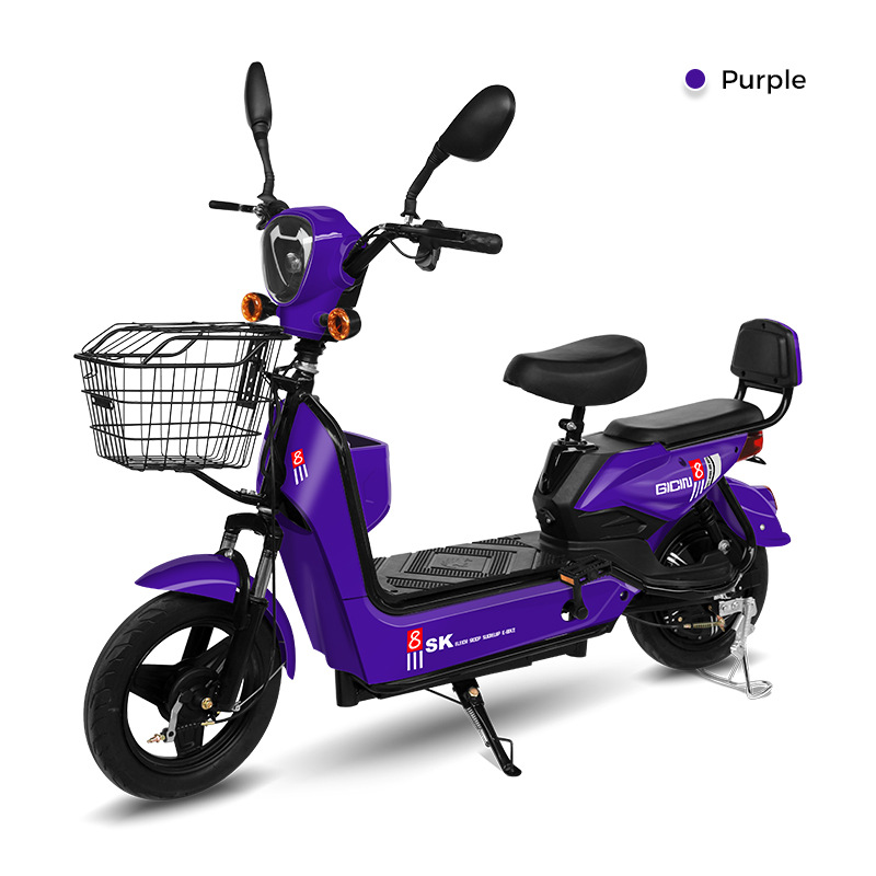 FL - 0002 - Golden Eagle nuevo fabricante de vehículos eléctricos al por mayor de dos ruedas coche de batería fábrica de bicicletas eléctricas E-bike