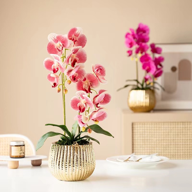 微信图片_202205151424483