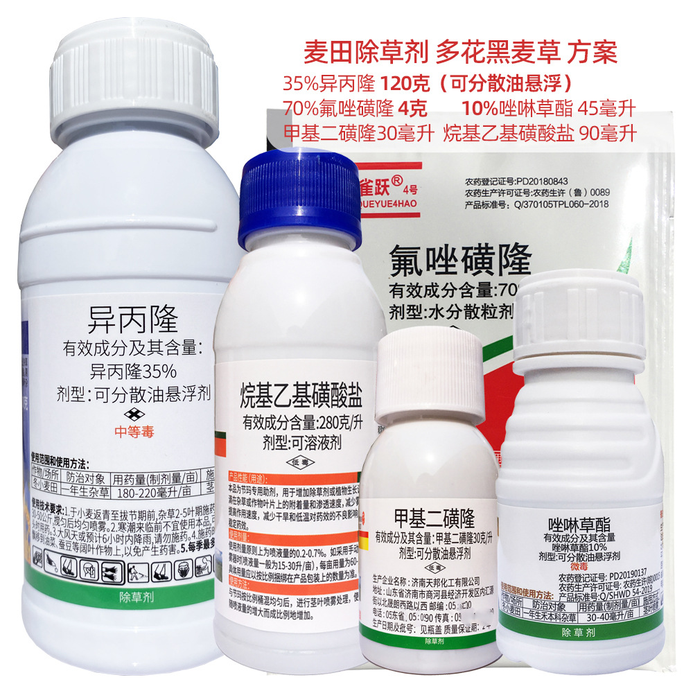 小麦除草剂多花黑麦草节节麦雀麦看麦娘尖叶草抗性杂草强效