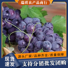 �Fժ�F�l�޷����і|�����䮔�����r�ЋDˮ�����ͶY�����w���b���l