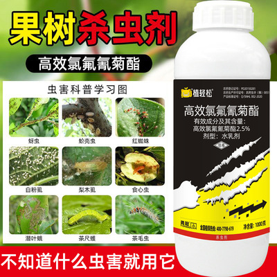 果树杀虫高效氯氟喷雾氰剂菜青虫蚜虫食钻心虫卷土壤农用杀虫剂|ms