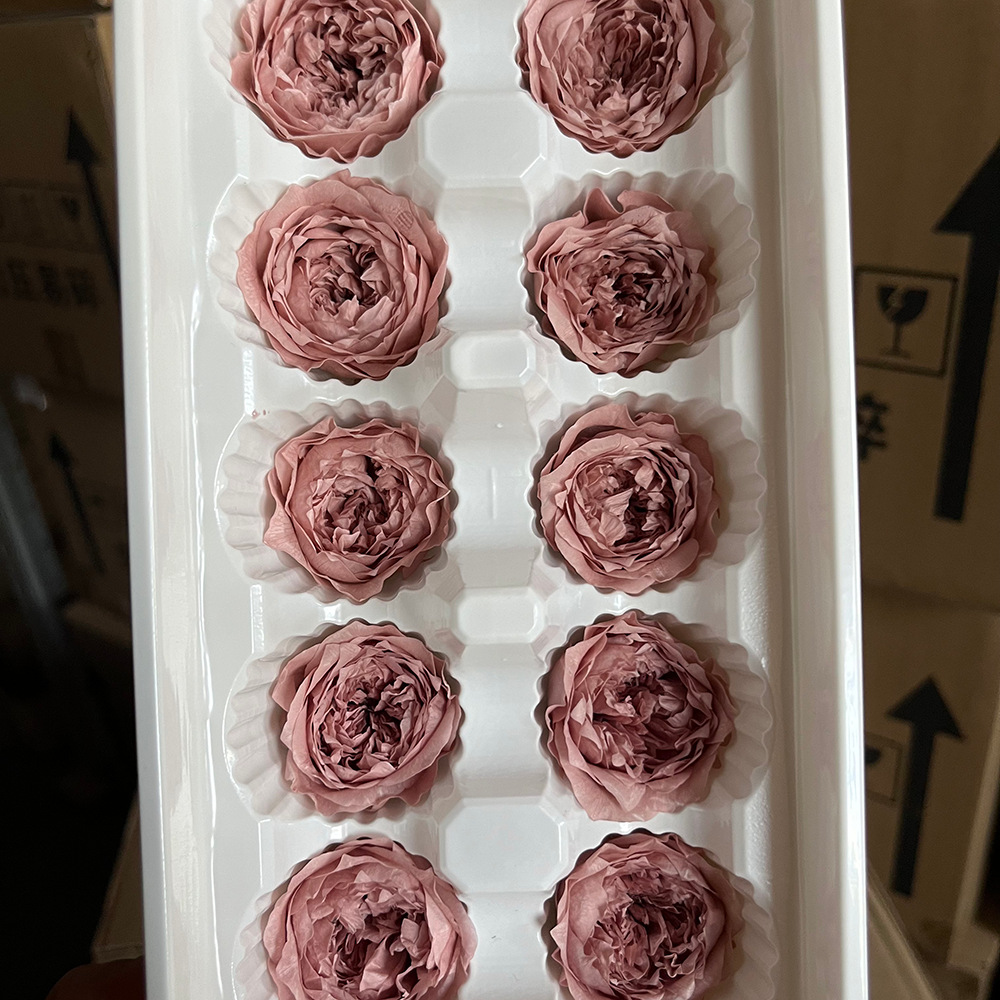 Grado A 3 - 4cm leche marrón 10 flores / caja