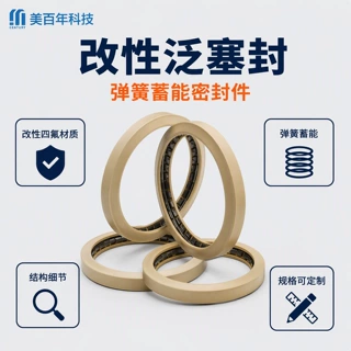 定制改性聚四氟弹簧蓄能旋转泛塞封机械密封圈PTFE油封工业密封件