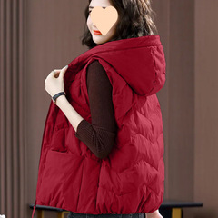 Vest cotton jacket women's winter 2025 new thin cotton jacket fashionable fashionable mother horse clip vest cotton jacket