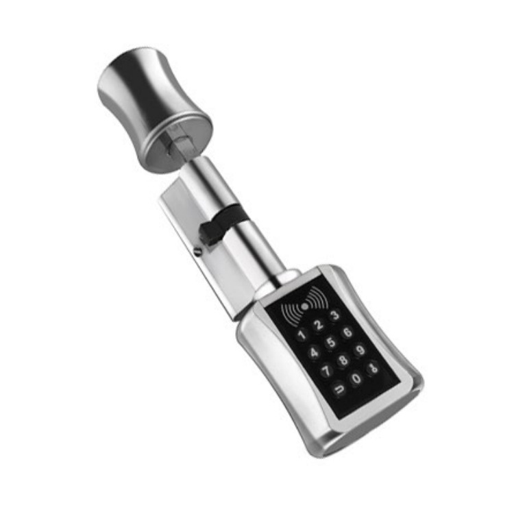 Transfronteriza al por mayor inteligente de huellas dactilares de bloqueo interior TTLOCK paso de bloqueo de oficina apartamento esférico de bloqueo de aplicaciones de graffiti