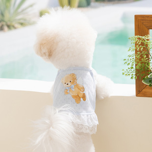 �羳���nins�L���·��ɐ�С�w��͸�ⱳ�Ĺ����������ļ������·�