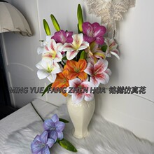 �S��ֱ�N���^��֧��ݰٺϷ��滨�ǹ�ɫ���滨�ҾӲ����ٻ��[�O