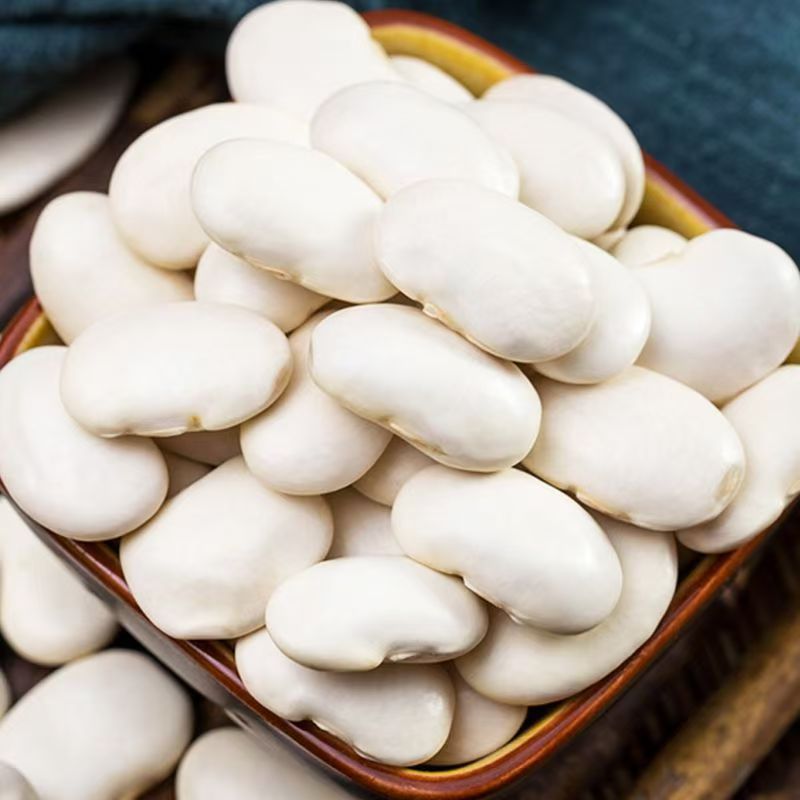云南白芸豆2斤新货大芸豆新鲜云豆大白豆雪豆大豆豆子五谷杂粮