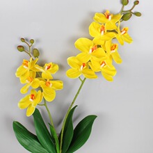 �ɲ��ָк����m ���滨�Ҿ��b� ��������m�������m���羳����
