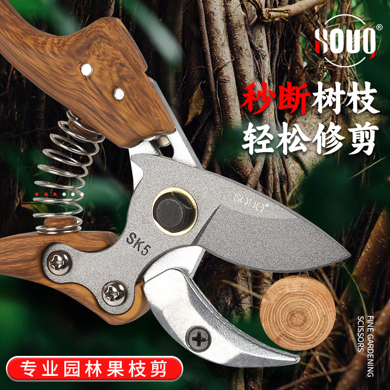 SK5修枝剪 家用修枝剪花卉果树剪刀盆景树枝修枝剪果枝剪
