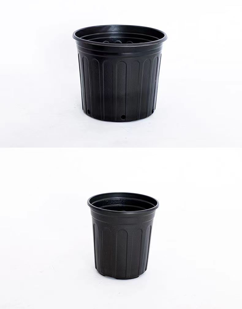 07b586ec-5d36-4c1c-914e-5b710ae045a2.jpe