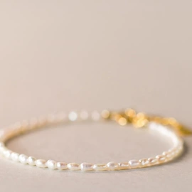 手链;项链;耳环