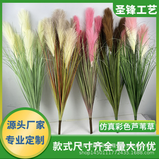 ���ƿ羳����Gֲ�JȔins���W�L��c�b������ô�������JȔ��