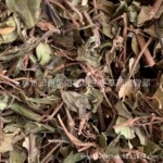 【包邮】地稔草铺地锦山地菍 每件500克 二十四小时发货