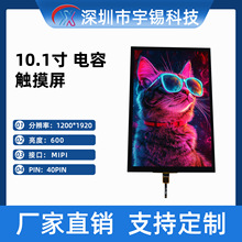 10.1�� 1200&times;1920 TFT ҽ�����ִ����� MIPI40PIN �������ģ��