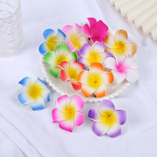 Cross-Border 4/5/6/7/9 Multi-Specification Frangipani Dai Decorative Flower Frangipani Hairpin Travel Vacation Chicken