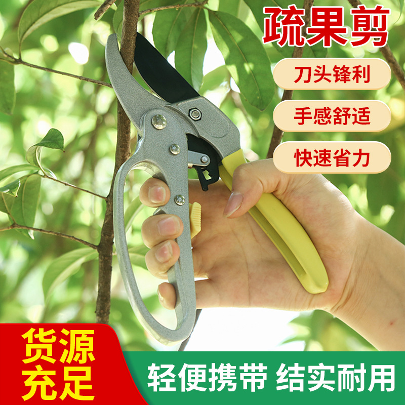 工具省力果枝剪园林剪刀手动粗枝园艺修枝剪花木分段式滑轮剪供应