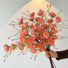 �۵������滨�ٻ���ĭ���͏d�����[���羳���Q���������c�b�