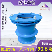 防水套管穿墙套袖刚性柔性防水套管