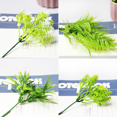 Scenery Plastic flowers background Botany Podocarpus Coconut Yang Taosong Small plants Artificial Plants