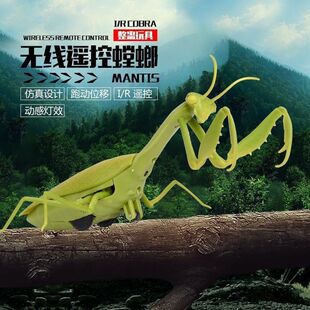 Remote Control Mantis Toy Creative Real Animal Mantis Novelty Children's Prank Insect Crawling Tiktok