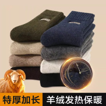 绵羊毛袜子男士秋冬季加绒加厚发热中筒保暖东北超厚毛圈长袜批发
