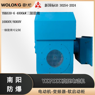 ����늚��Ϸ�10000V�߉�늙CYXKK YKK630-6 4000kW 6000V IP55 B3