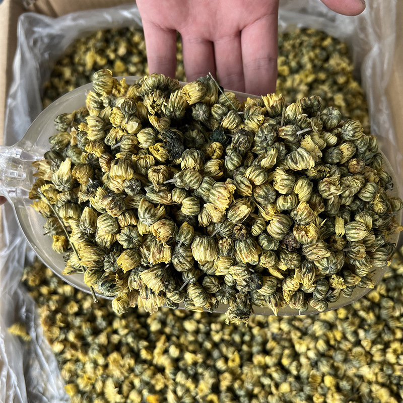 徽五弟菊花茶黄山菊花干花茶金丝皇菊胎菊徽州皇菊多品产地直发|undefined