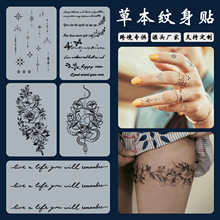 �羳����ݱ��W������Ӣ�ľ��Ӵ󻨾��l�D�v���� С�D��ָ�y���N