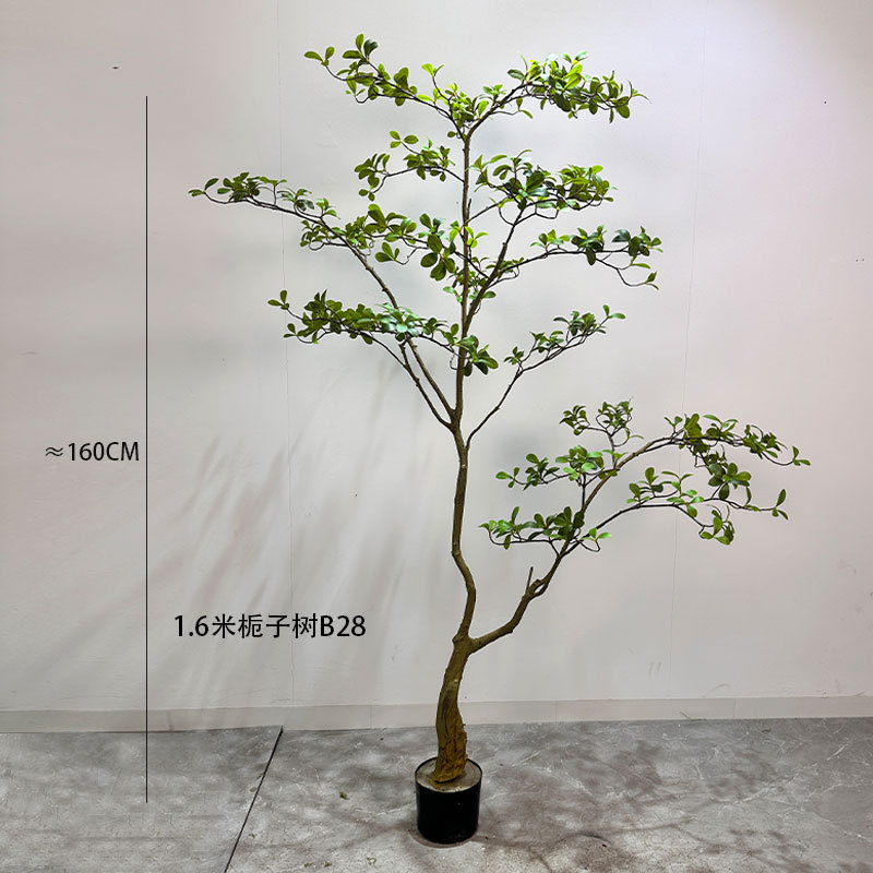 島の春の花、模擬緑の植物、クチナシの木の屋内装飾と造園のトップ10、大型の床置き植物|undefined