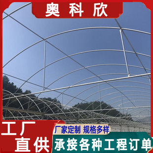 �߲˷Nֲ�B������ ����ꖜ��Ҵ��ﶬ��ů���߲˴���Ǽ�