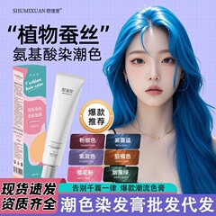 潮色染毛ペースト青ピンク緑グレー紫緑オレンジ色紫クロスボーダー染毛剤卸売り代発