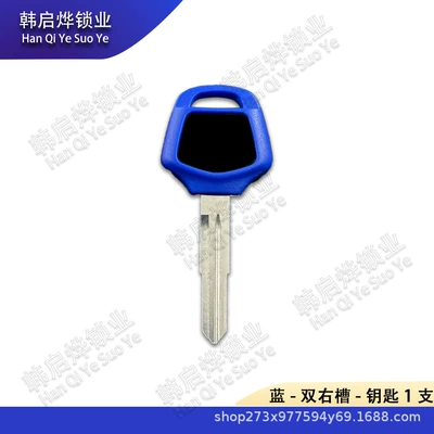 Car Key Gold Wing | Motorcycle Key